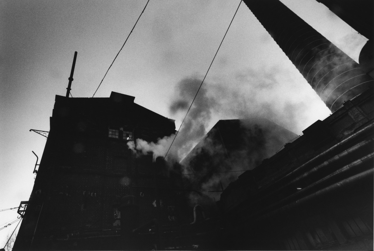 Archillect ID 10250