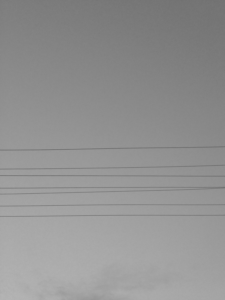 Archillect ID 10319