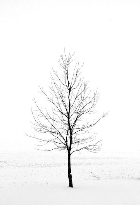 Archillect ID 10336
