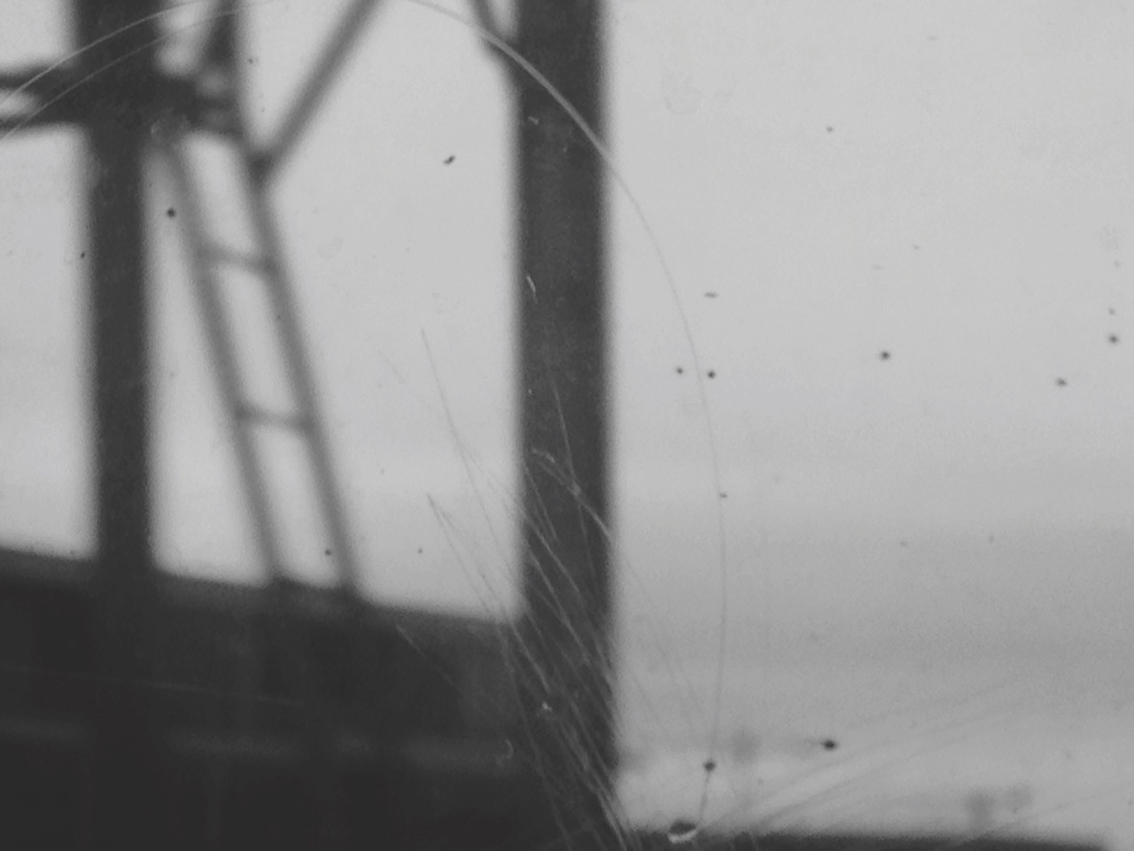 Archillect ID 10352