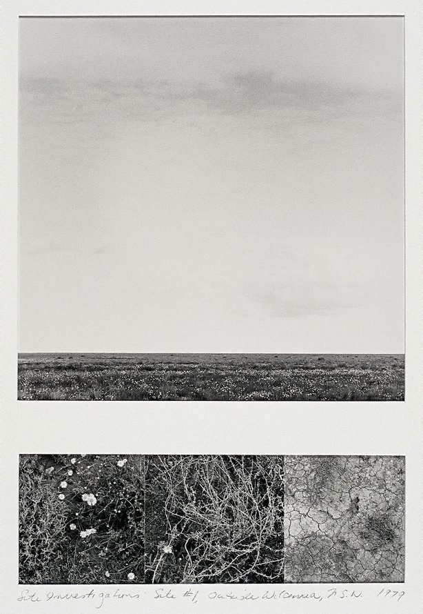 Archillect ID 10381