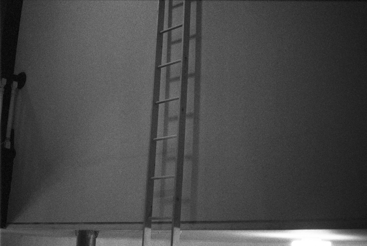 Archillect ID 10438