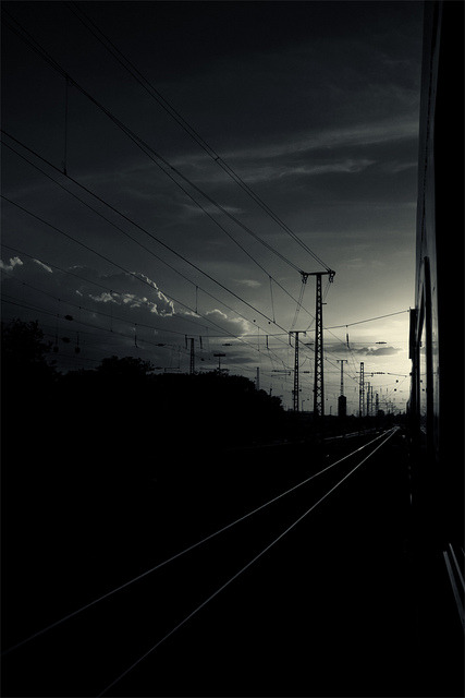 Archillect ID 10501