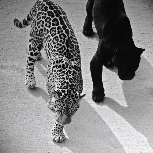 Archillect ID 10586