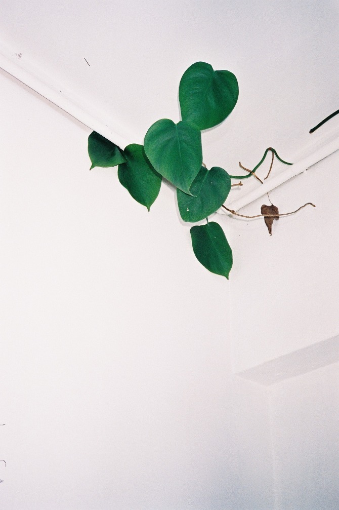 Archillect ID 10681