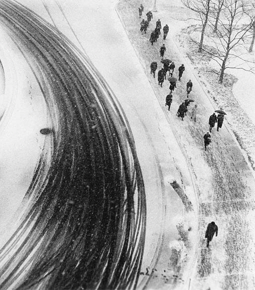 Archillect ID 10713