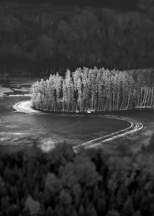 Archillect ID 10721