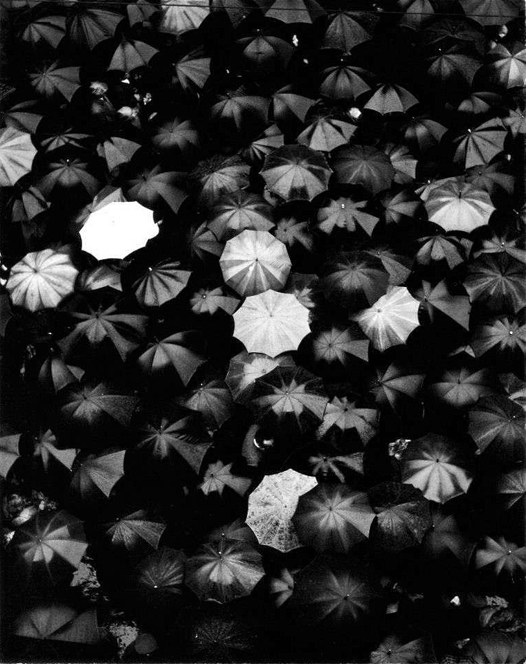 Archillect ID 10731