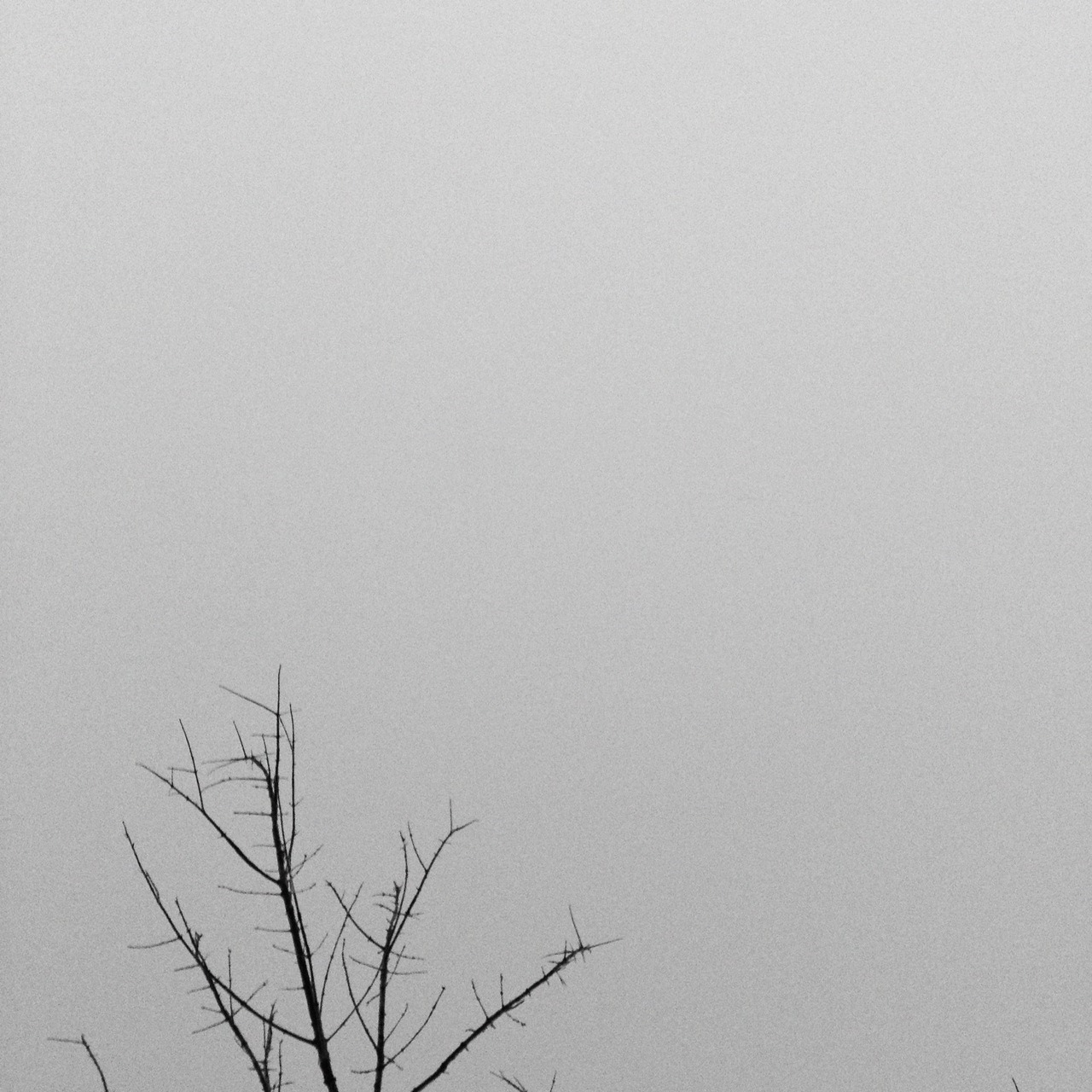 Archillect ID 10862