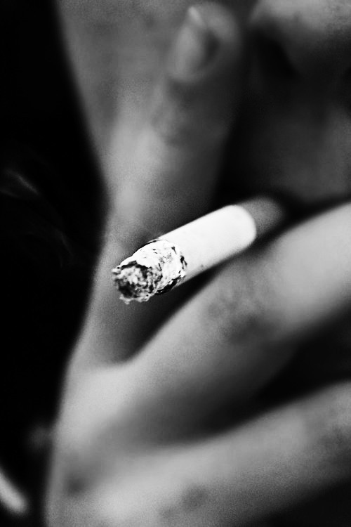 Archillect ID 10882