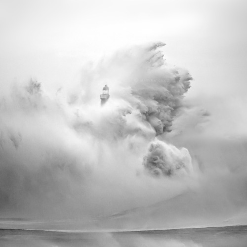 Archillect ID 10905