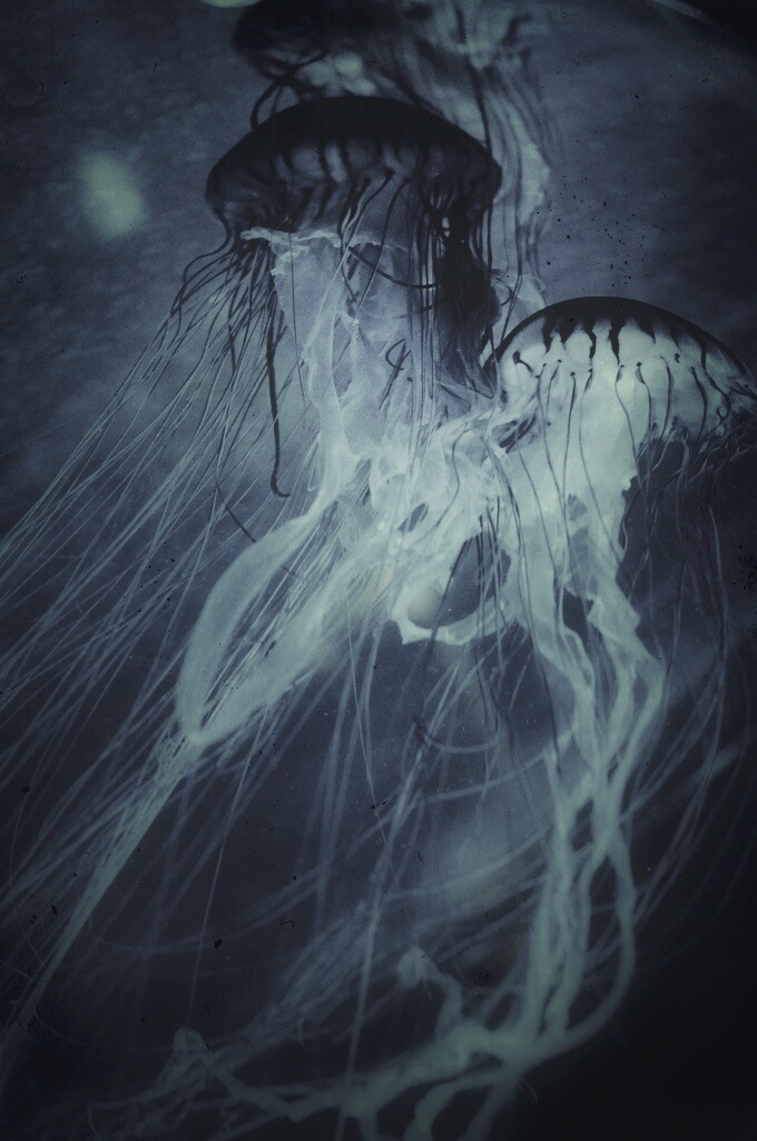 Archillect ID 11008