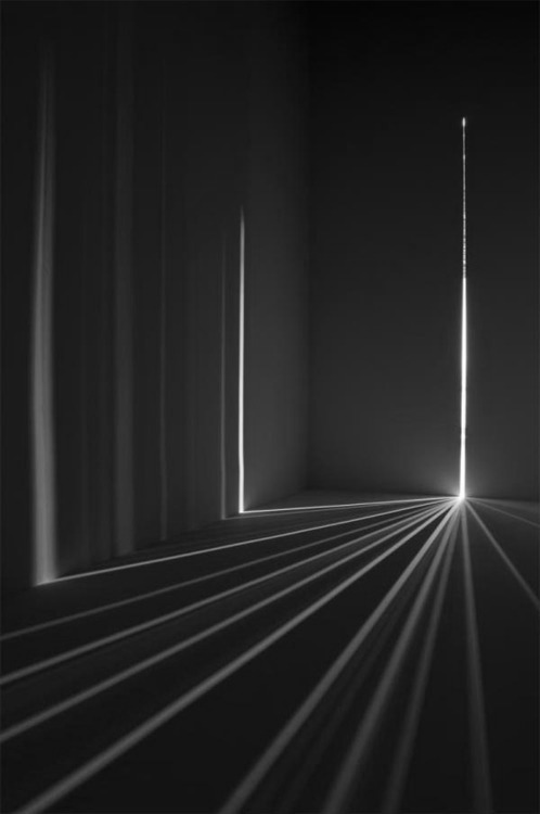 Archillect ID 11033
