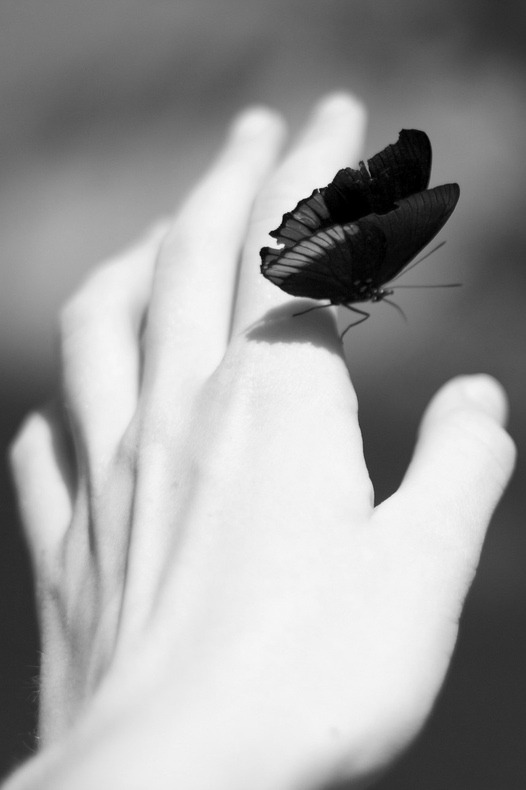 Archillect ID 11045