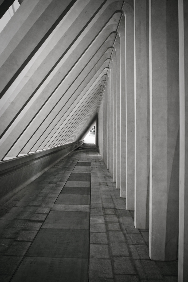 Archillect ID 11098