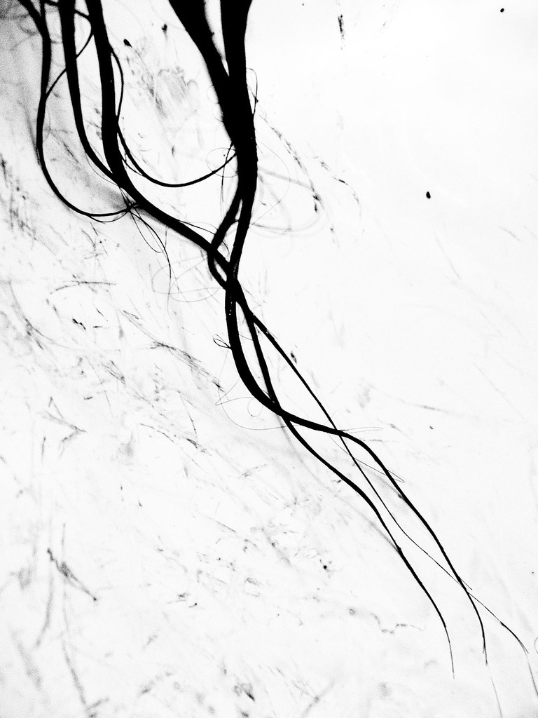 Archillect ID 11133