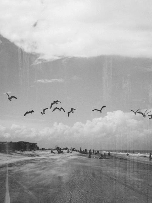 Archillect ID 11171