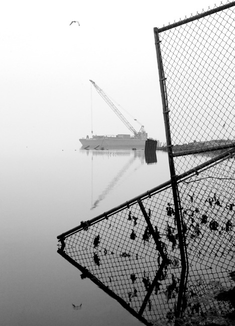 Archillect ID 11201