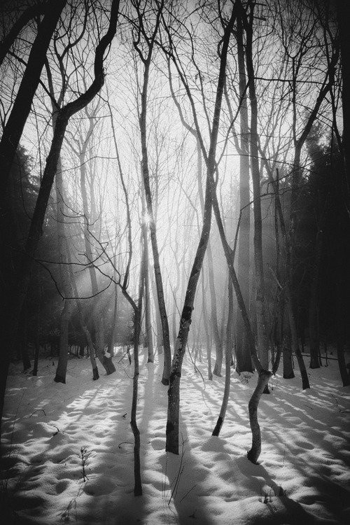 Archillect ID 11265