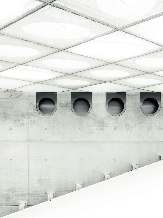 Archillect ID 11342