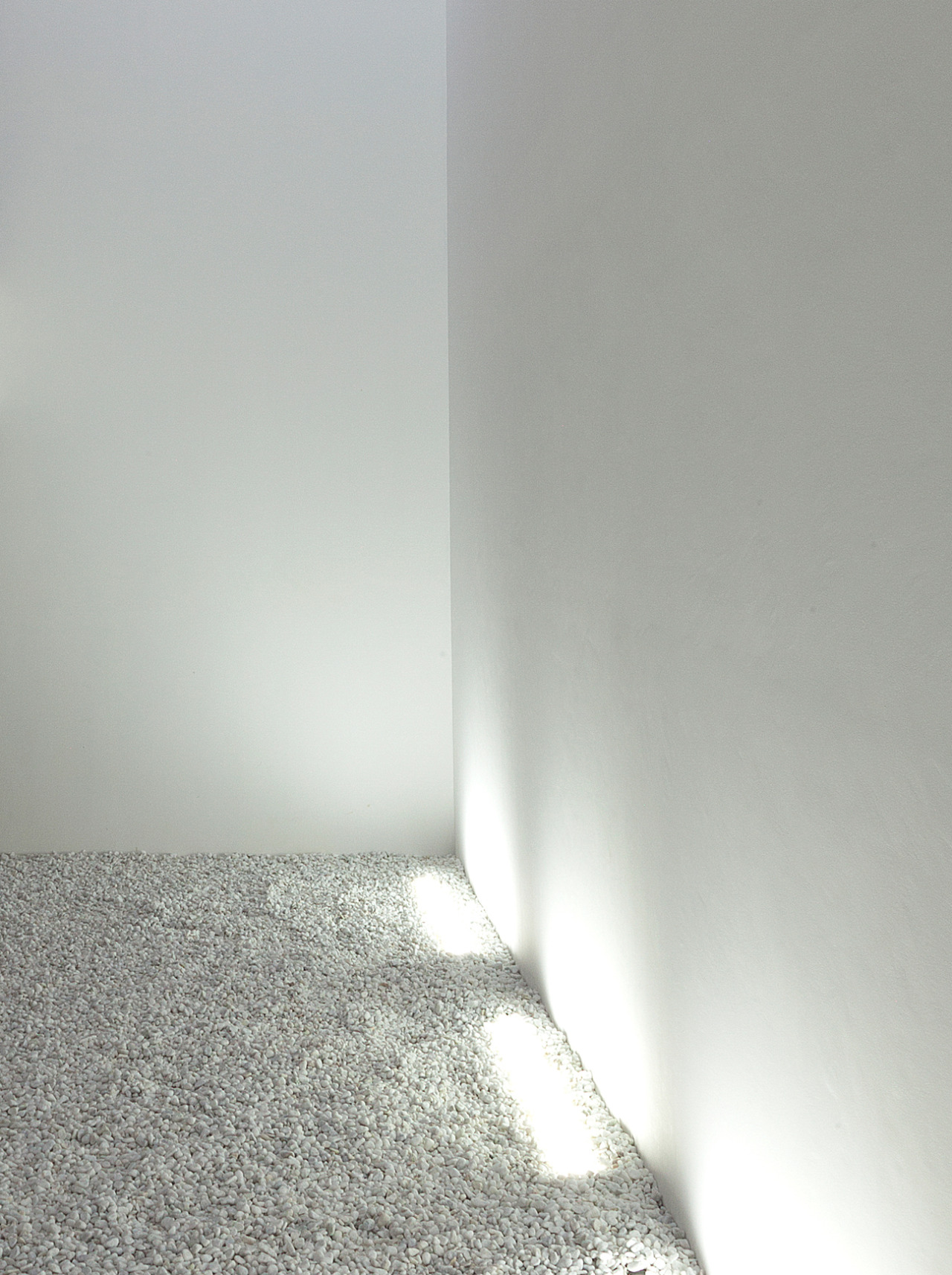 Archillect ID 11377