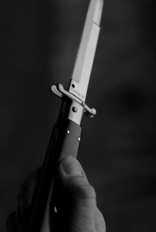 Archillect ID 11379
