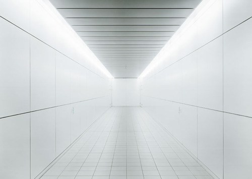 Archillect ID 11391