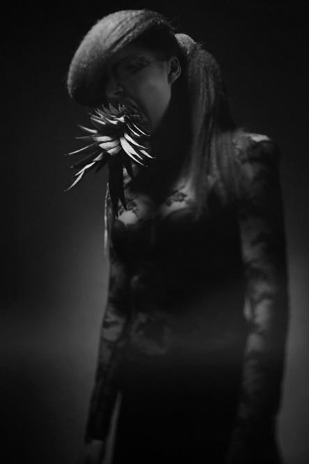 Archillect ID 11437