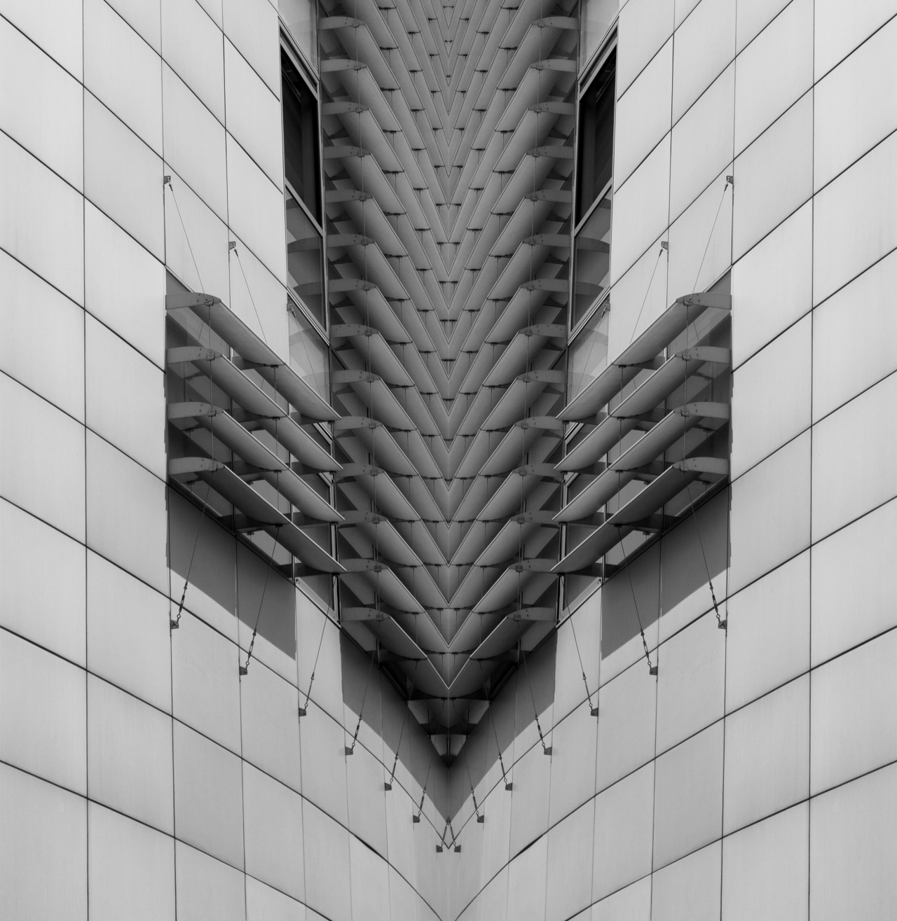 Archillect ID 11443