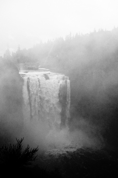 Archillect ID 11455
