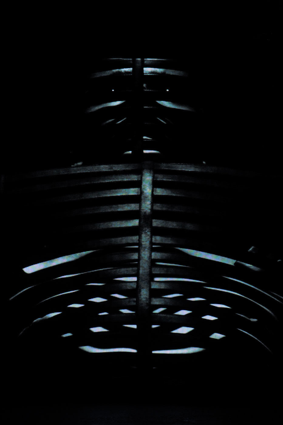 Archillect ID 11496