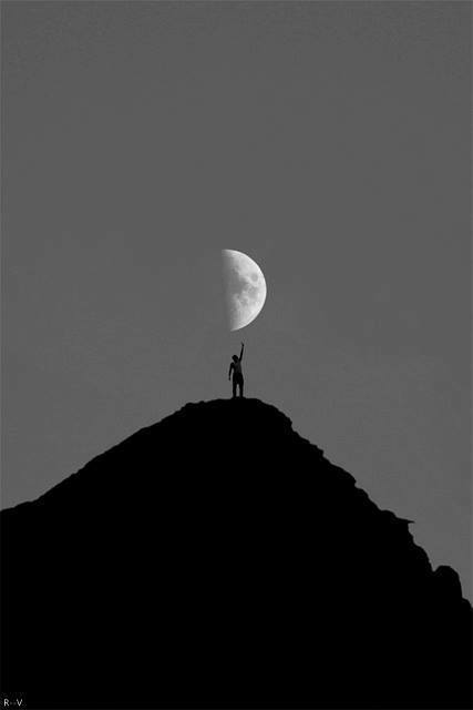 Archillect ID 11524