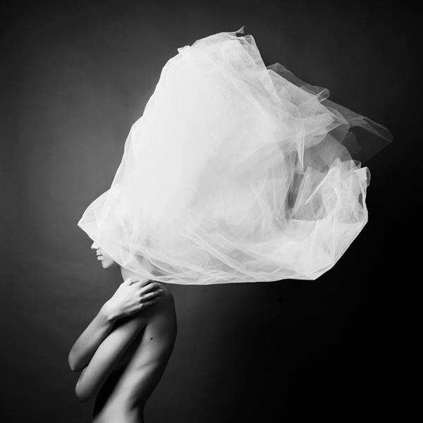 Archillect ID 11544