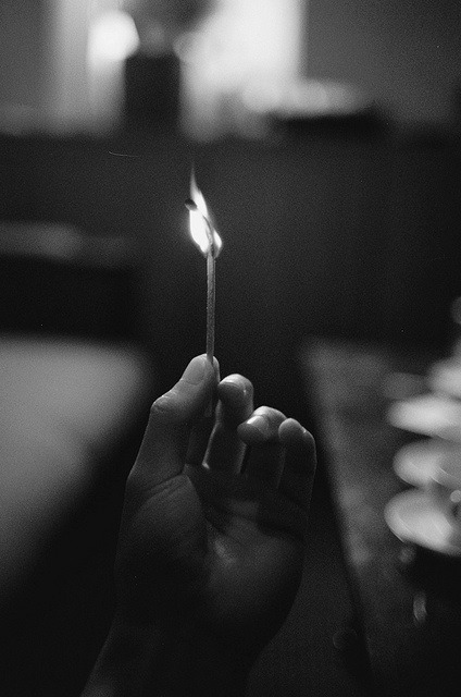Archillect ID 11558