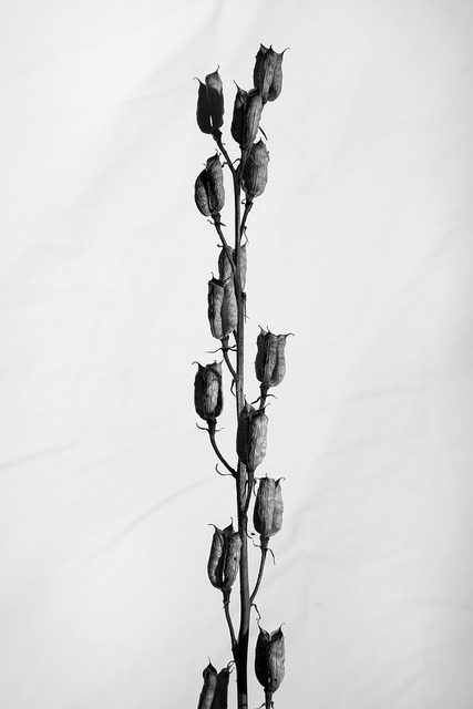 Archillect ID 11570
