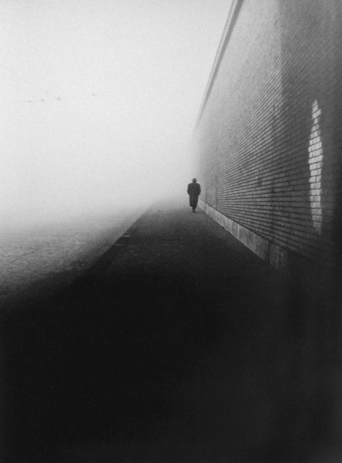 Archillect ID 11594