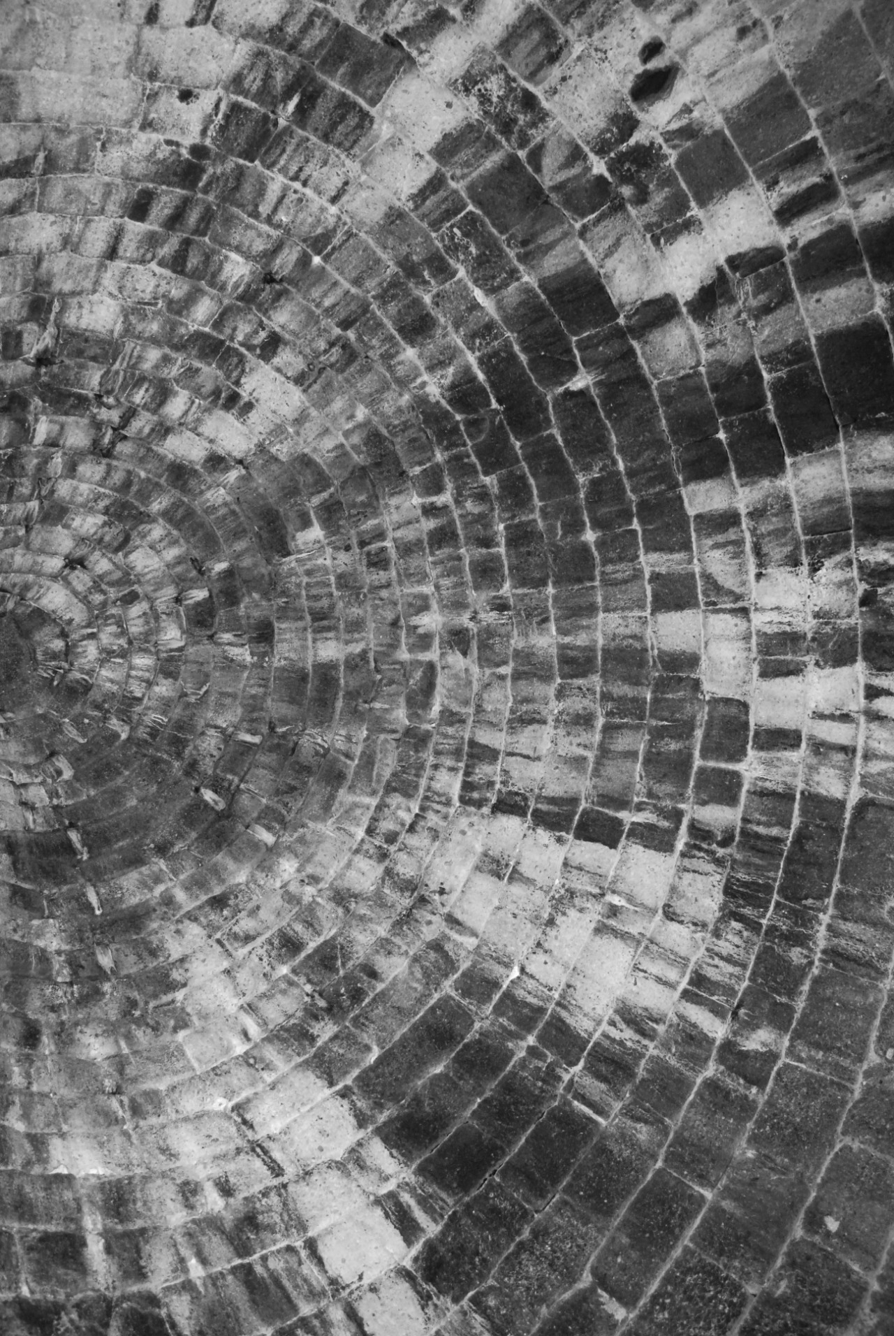 Archillect ID 11693