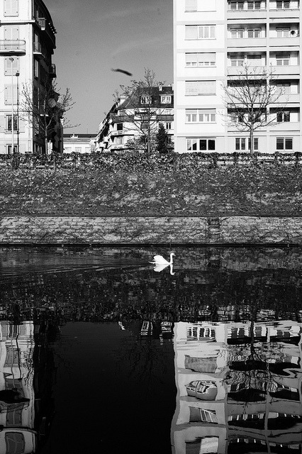 Archillect ID 11795