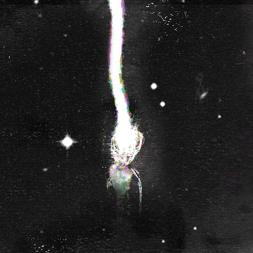 Archillect ID 11813