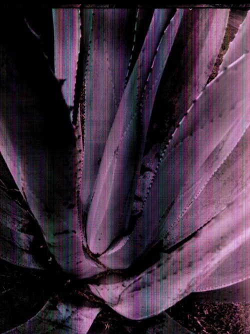 Archillect ID 11824