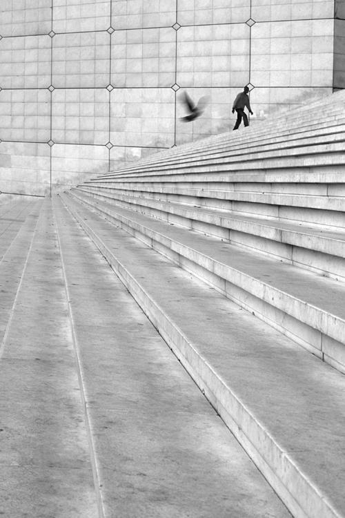 Archillect ID 11844