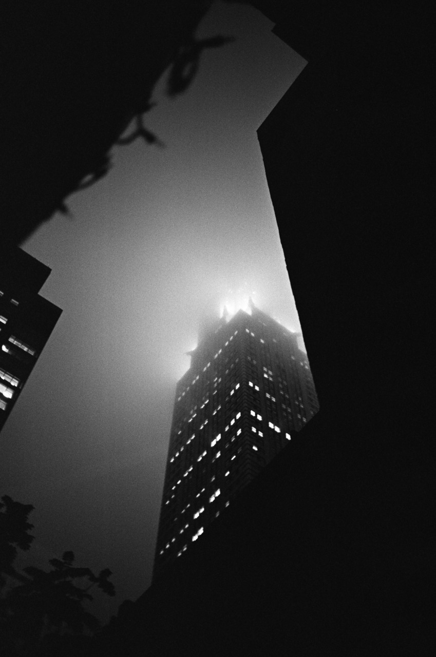 Archillect ID 11883