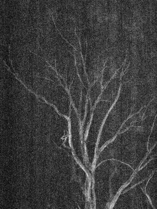 Archillect ID 11964