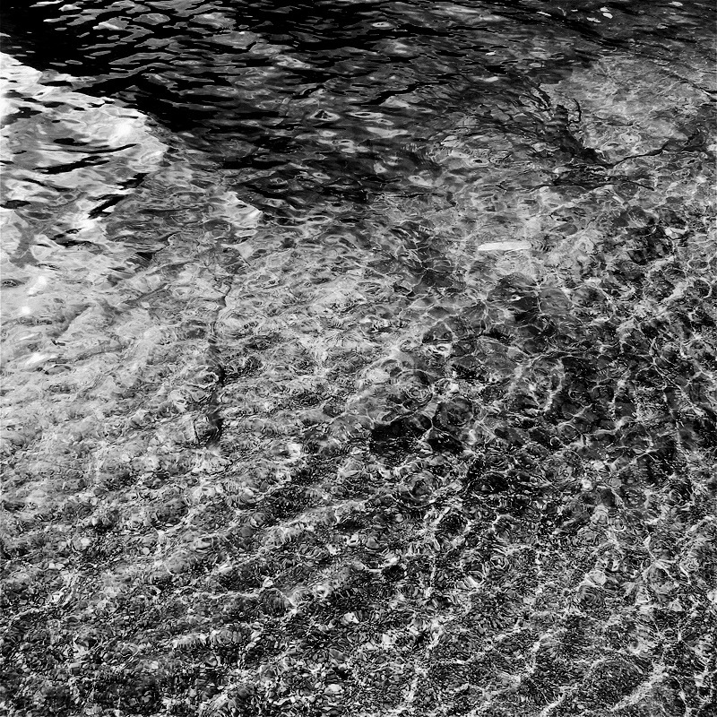 Archillect ID 12092