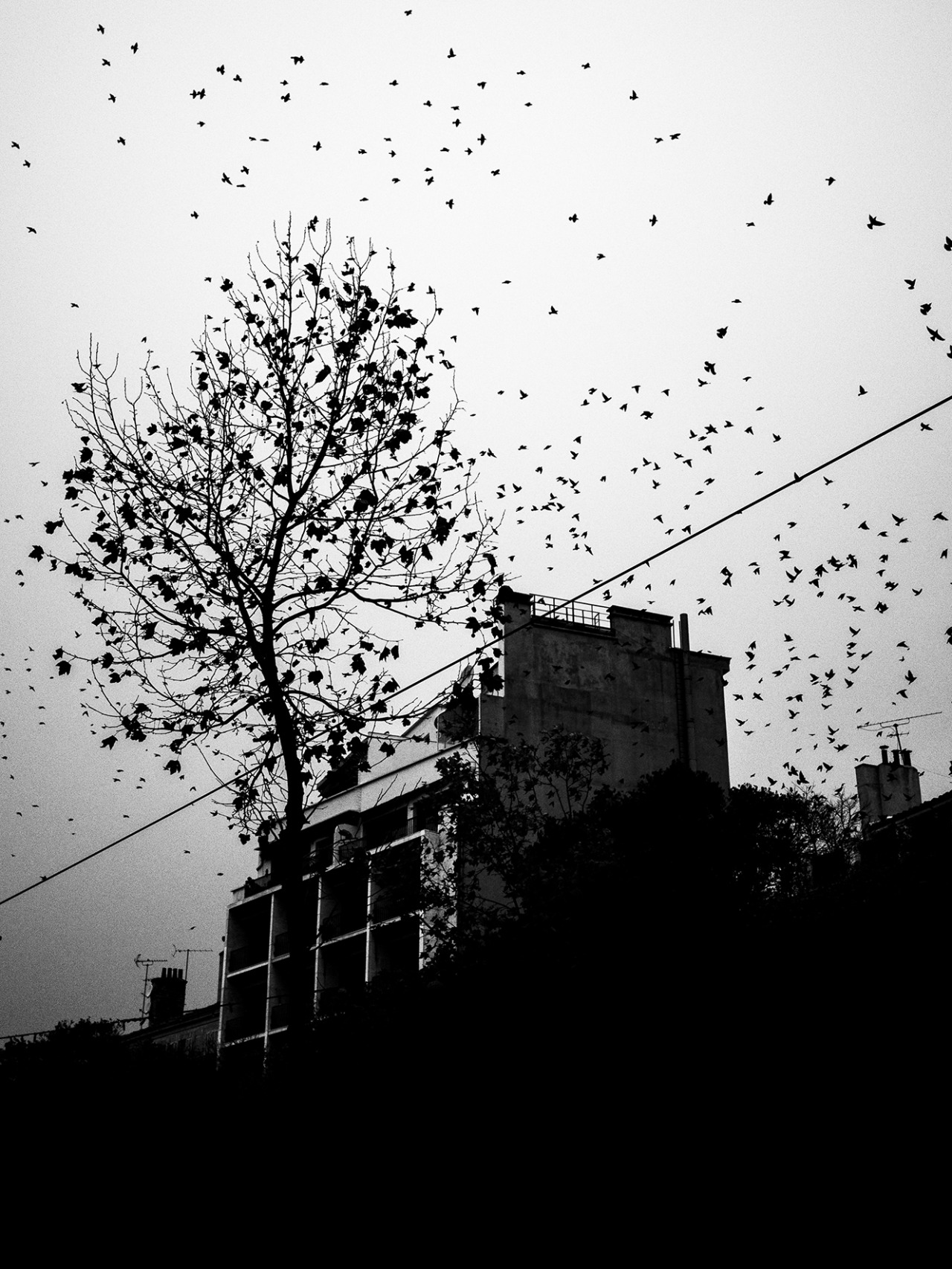 Archillect ID 12105