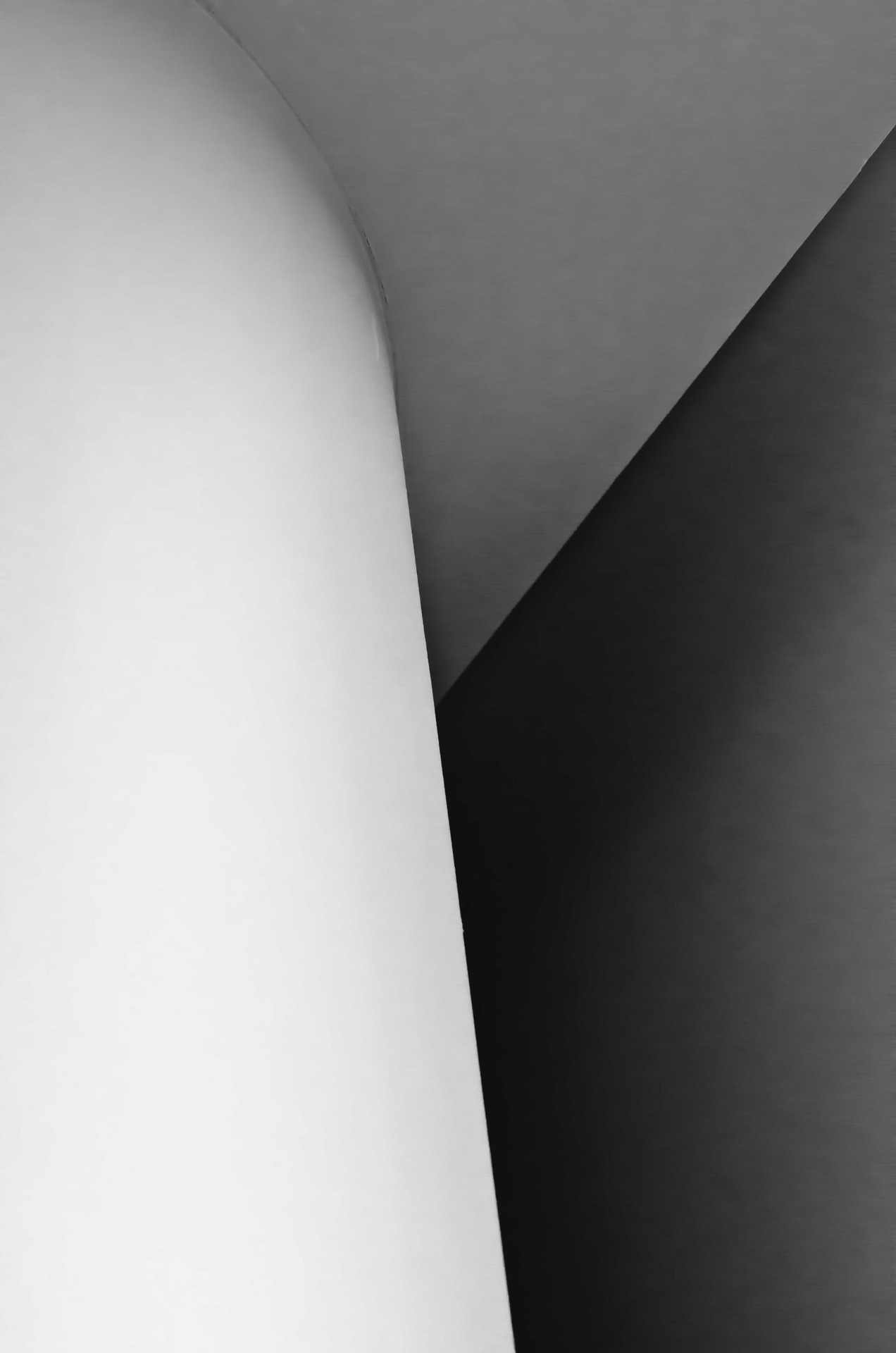 Archillect ID 12136