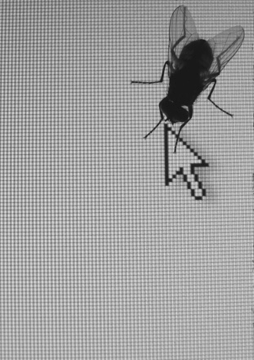 Archillect ID 12227