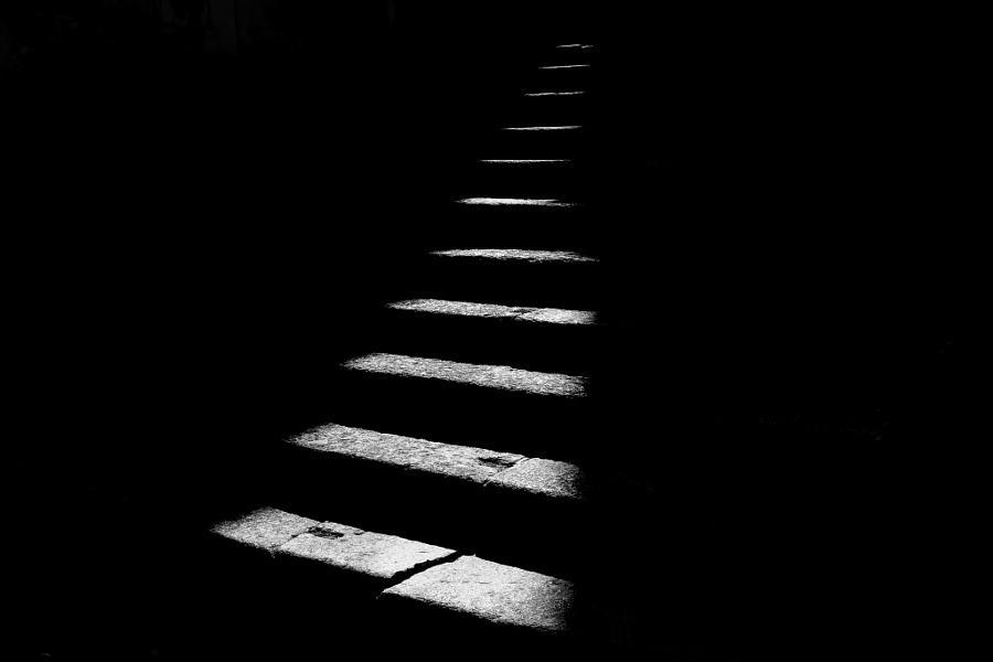 Archillect ID 12264