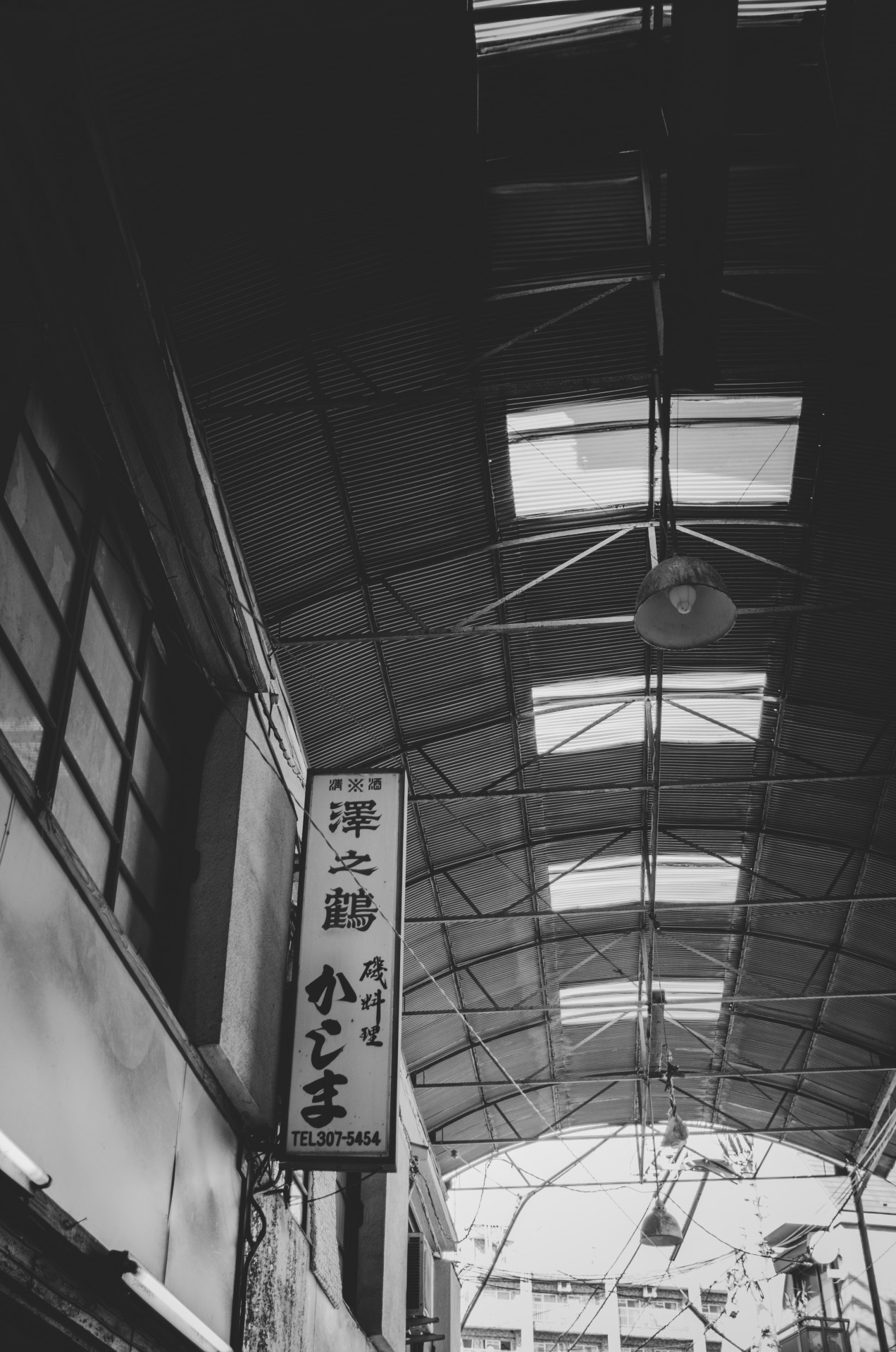 Archillect ID 12315