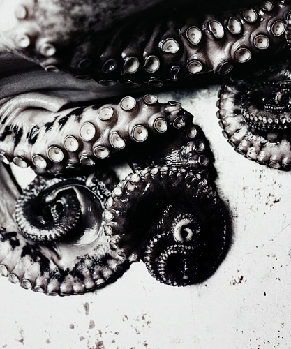 Archillect ID 12355
